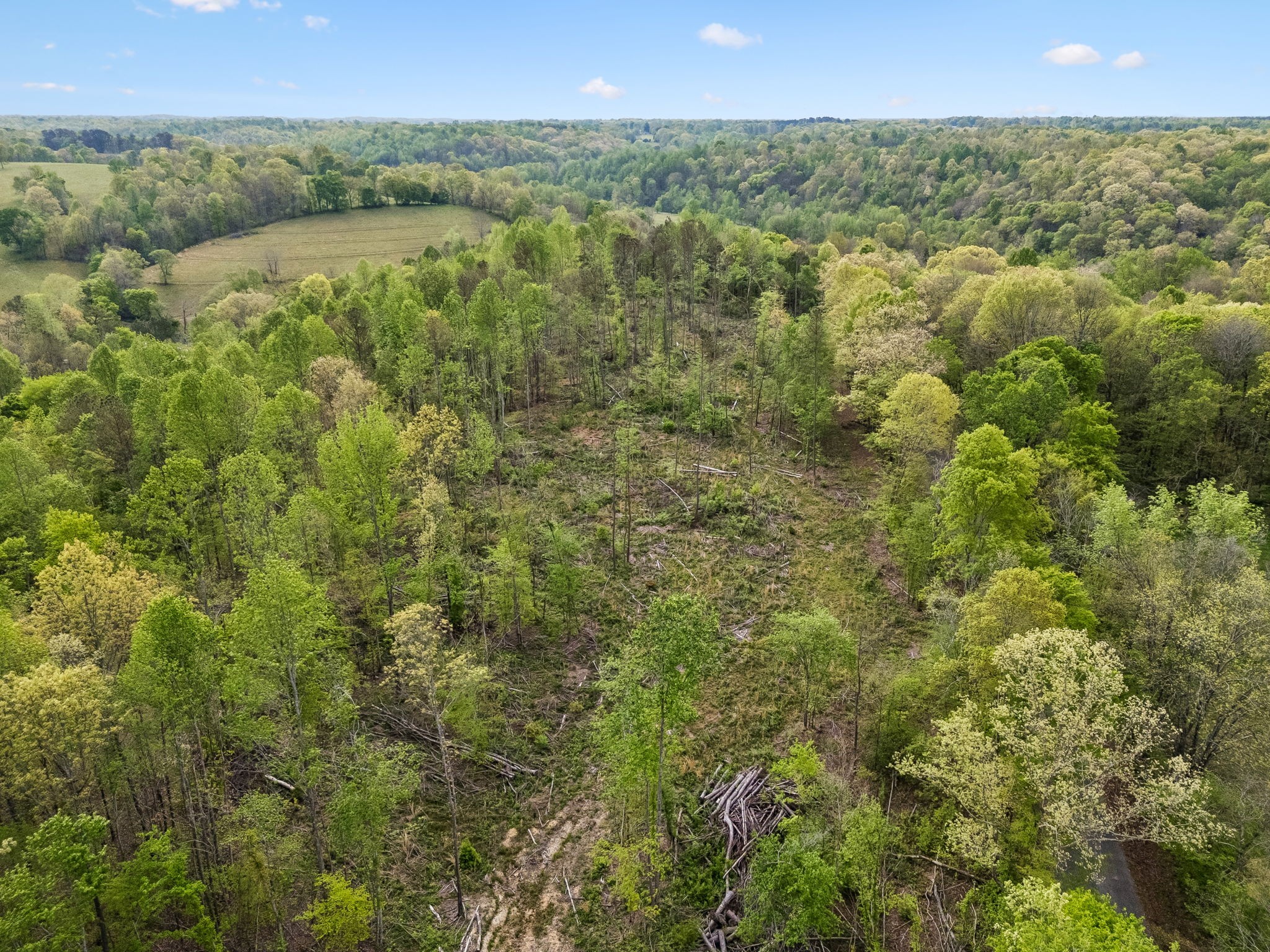 1 Pleasant Ridge Road Goodspring, TN 38460 - Photo 30 of 48