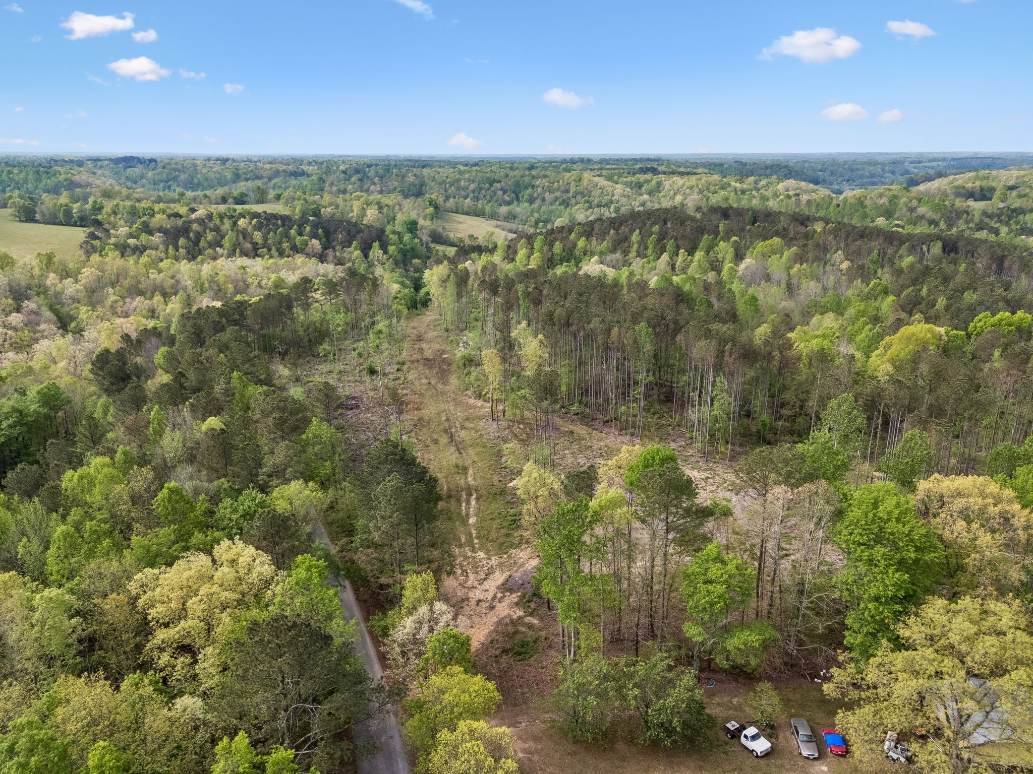 1 Pleasant Ridge Road Goodspring, TN 38460 - Photo 3 of 48