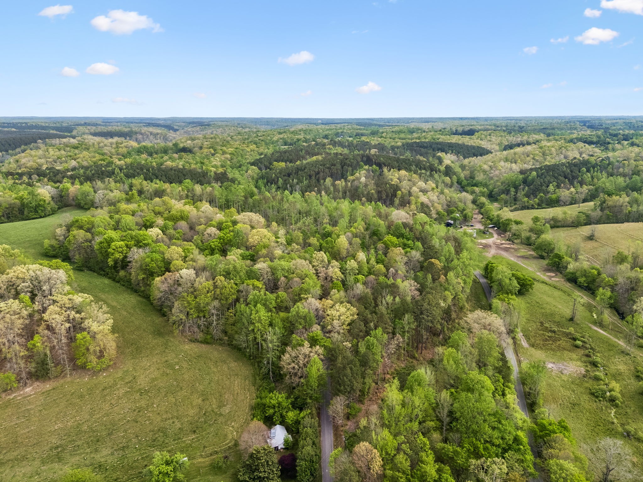 1 Pleasant Ridge Road Goodspring, TN 38460 - Photo 34 of 48