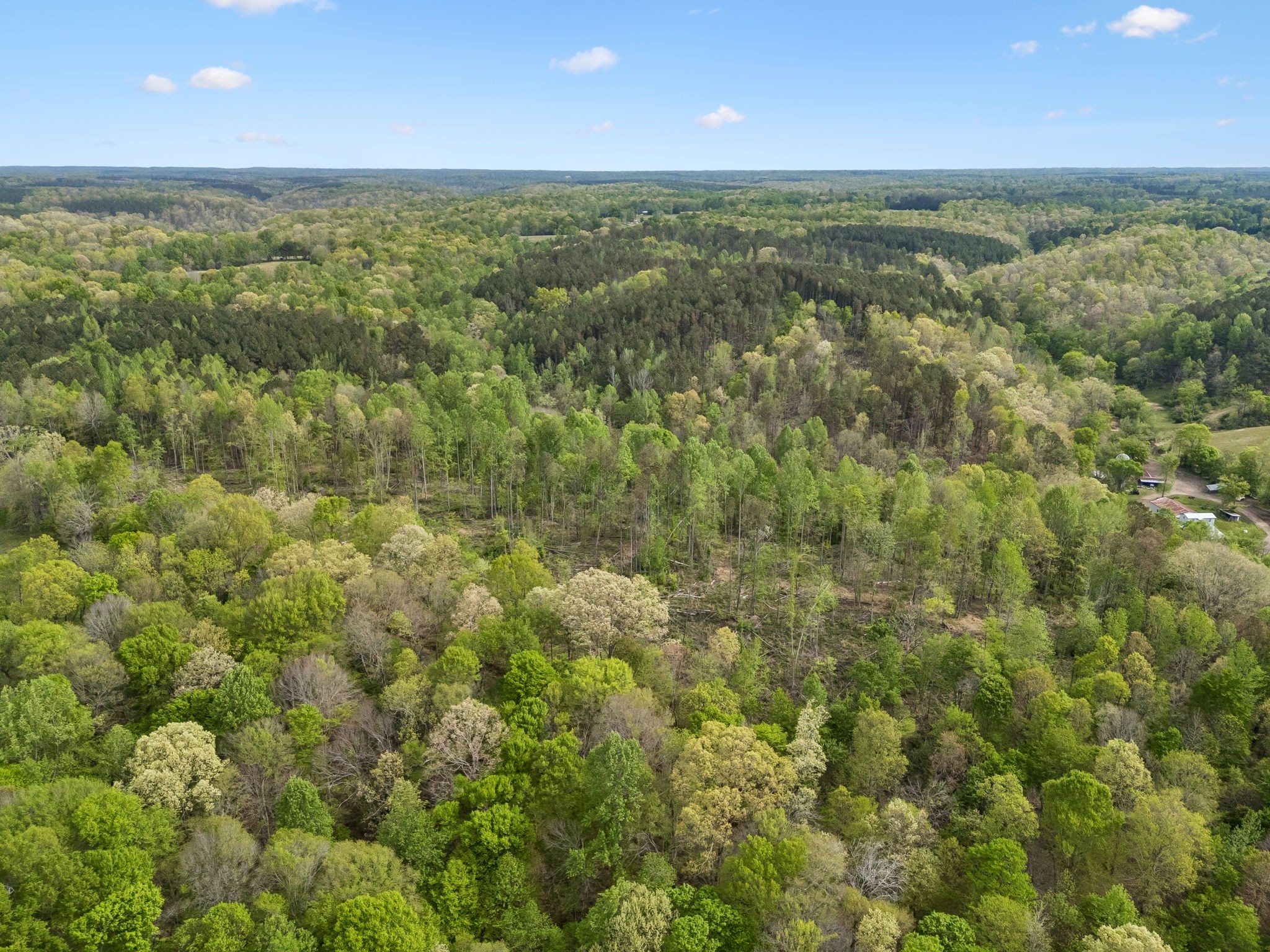 1 Pleasant Ridge Road Goodspring, TN 38460 - Photo 35 of 48