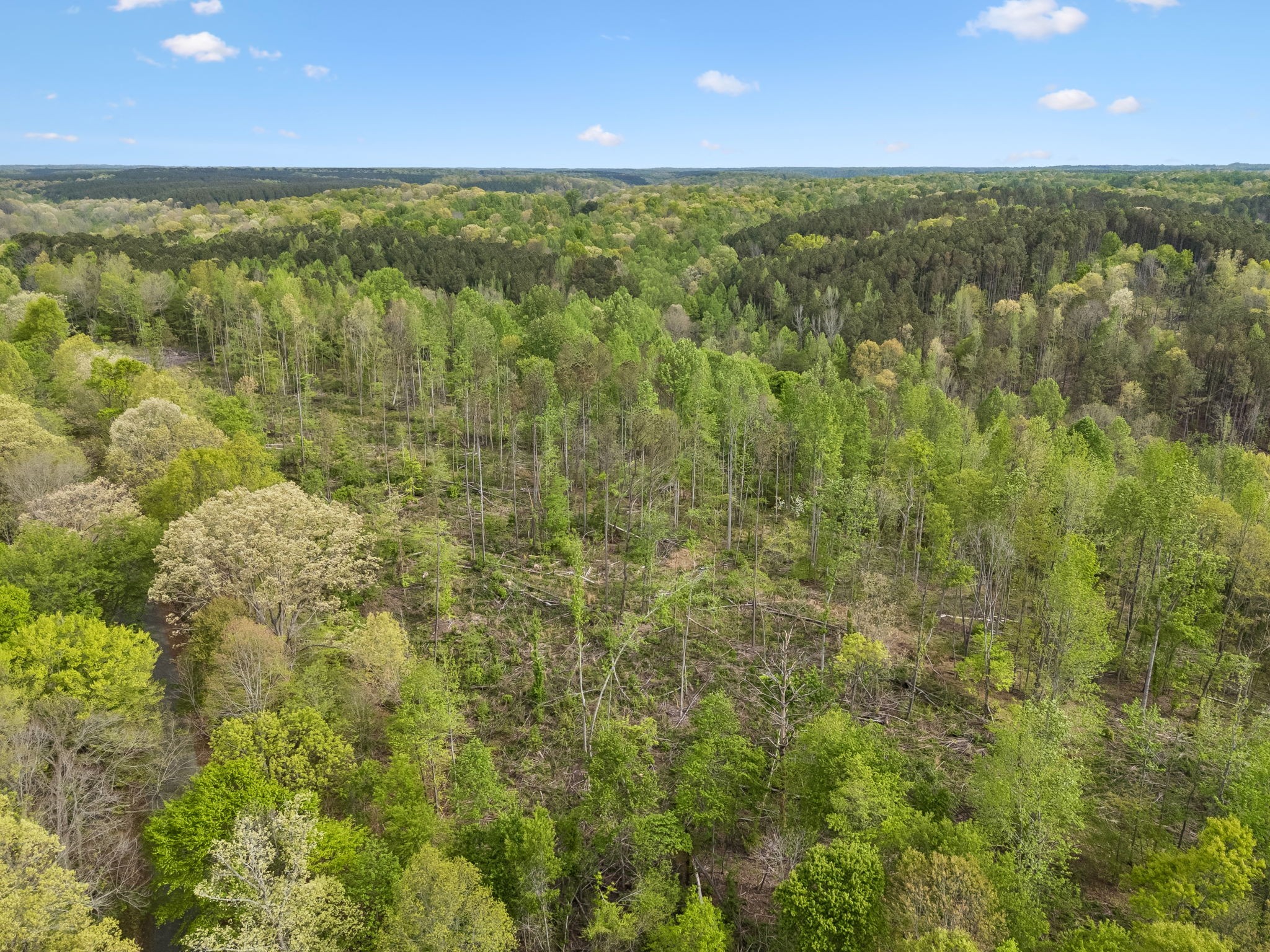1 Pleasant Ridge Road Goodspring, TN 38460 - Photo 36 of 48