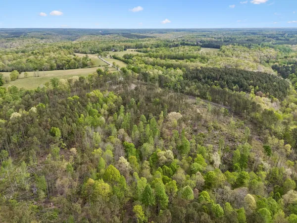 $481,120 | 1 Pleasant Ridge Road, Goodspring, TN 38460