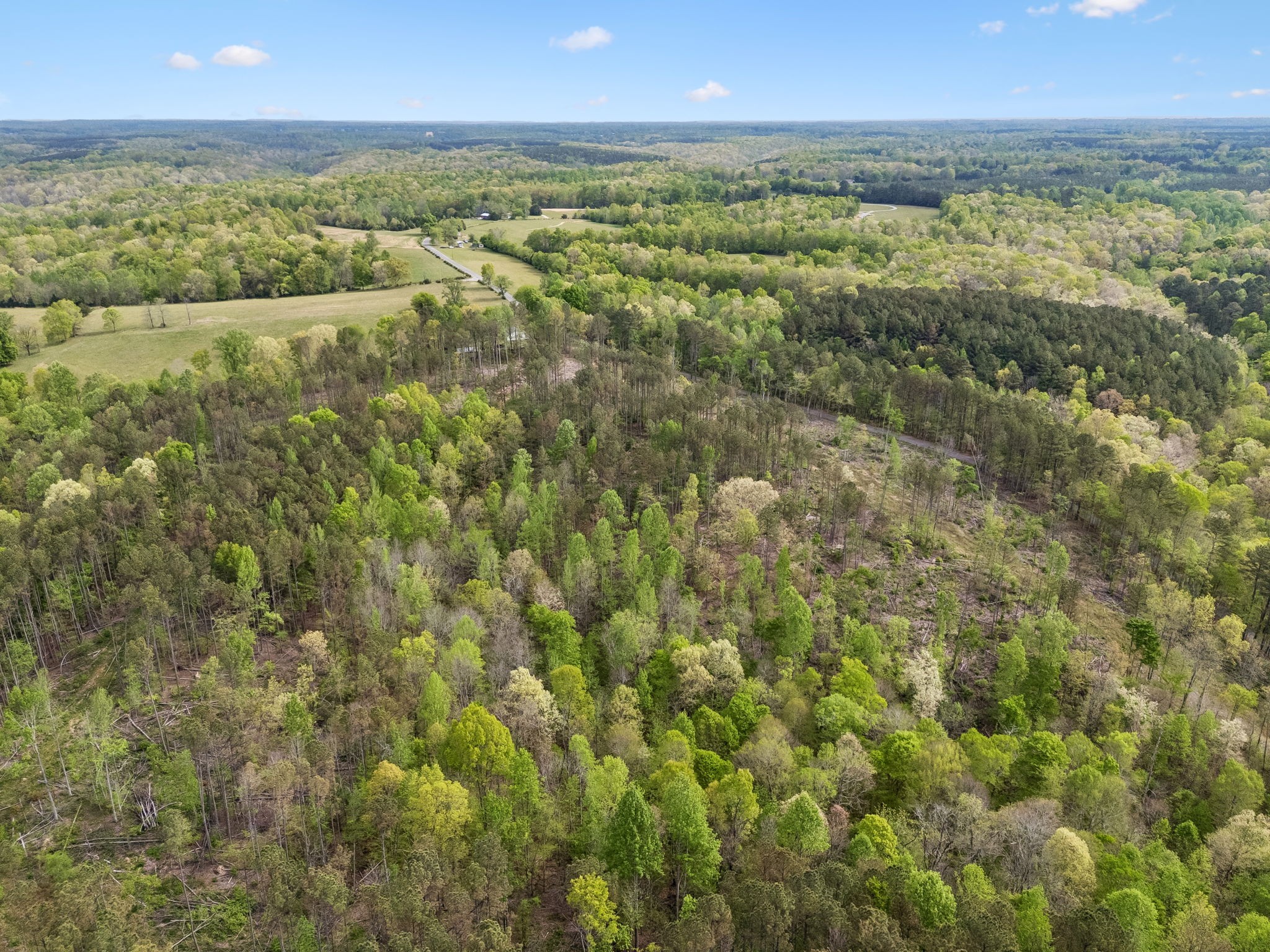 1 Pleasant Ridge Road Goodspring, TN 38460 - Photo 37 of 48