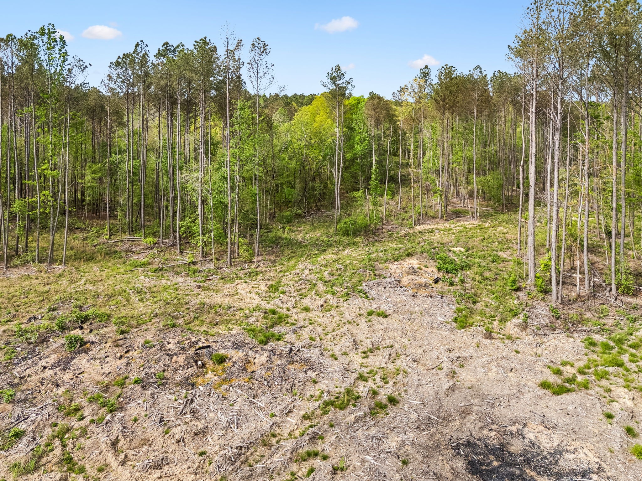 1 Pleasant Ridge Road Goodspring, TN 38460 - Photo 40 of 48