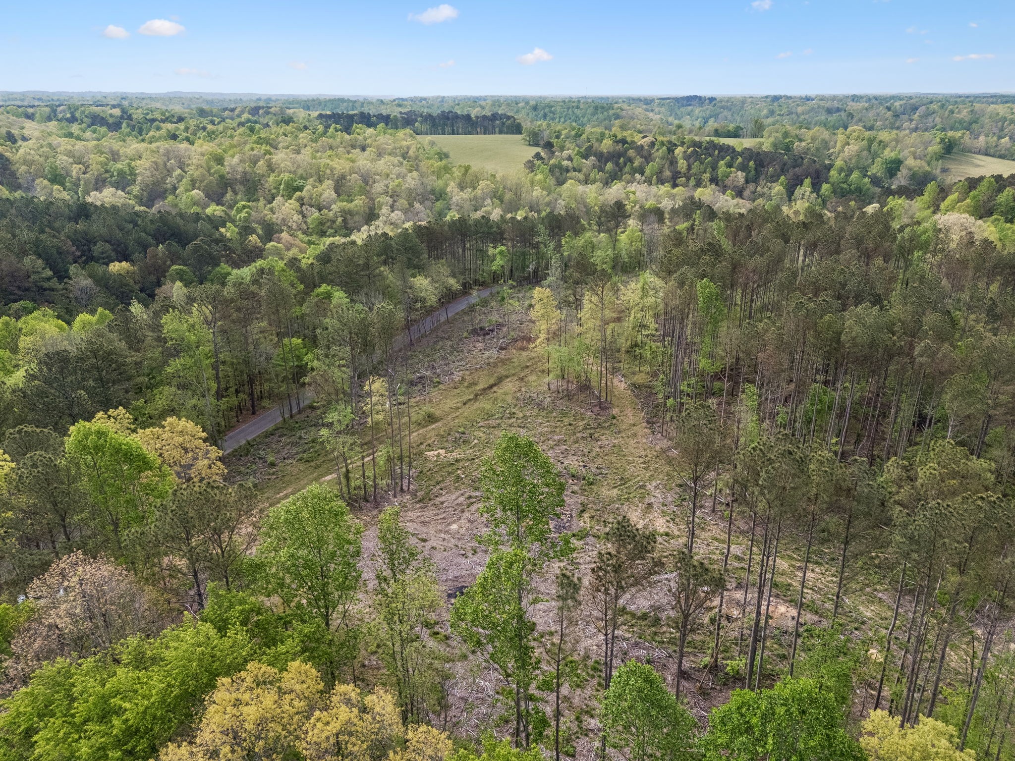 1 Pleasant Ridge Road Goodspring, TN 38460 - Photo 4 of 48