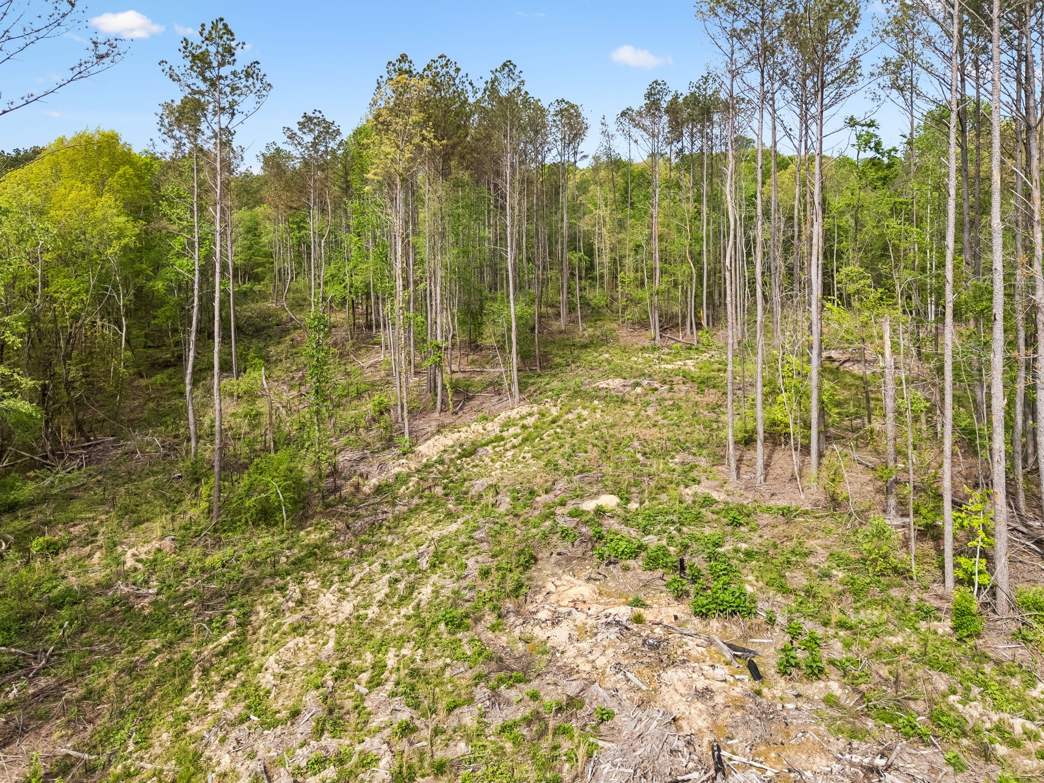 1 Pleasant Ridge Road Goodspring, TN 38460 - Photo 41 of 48