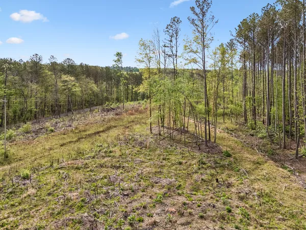 $481,120 | 1 Pleasant Ridge Road, Goodspring, TN 38460
