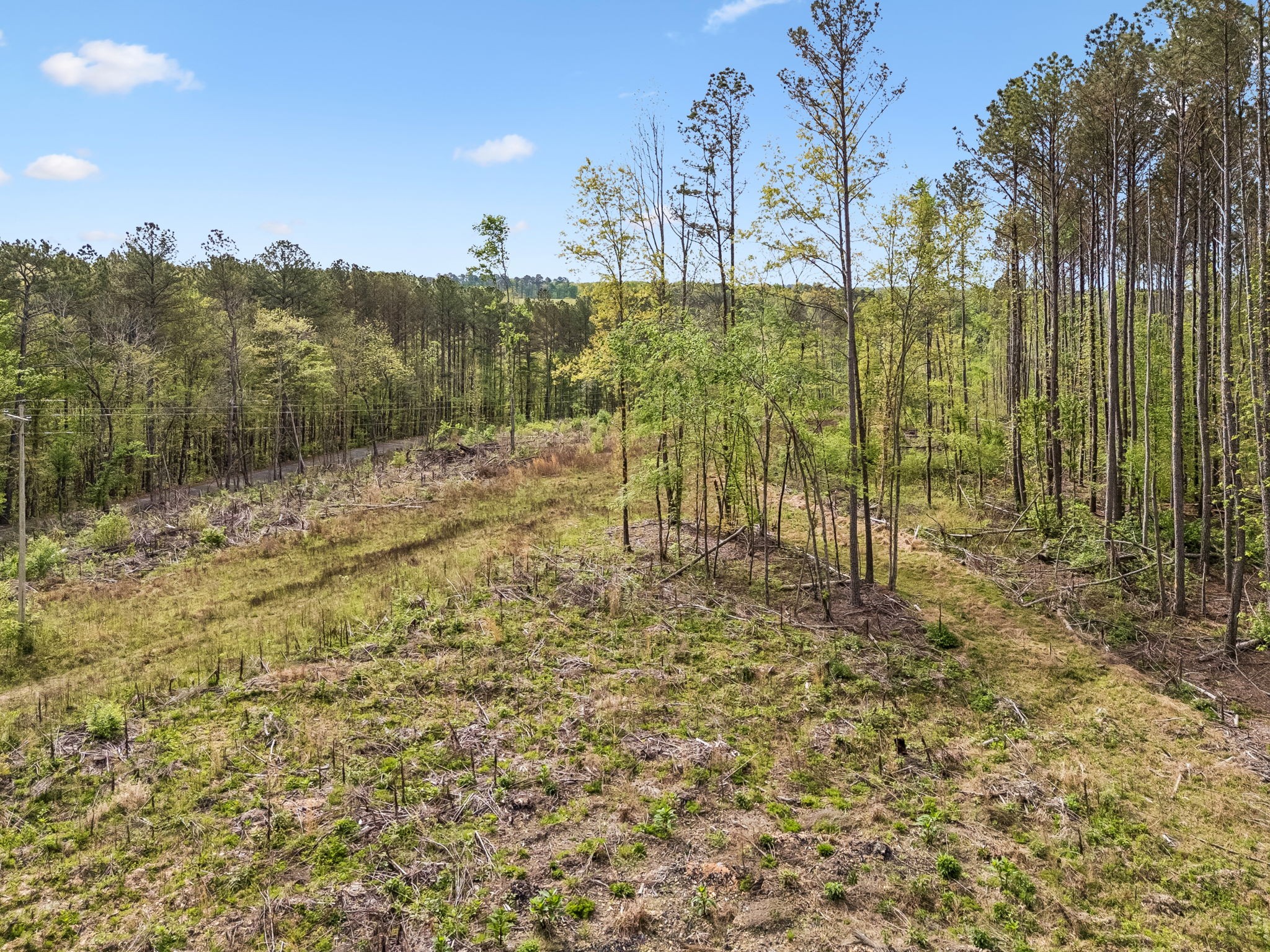 1 Pleasant Ridge Road Goodspring, TN 38460 - Photo 42 of 48