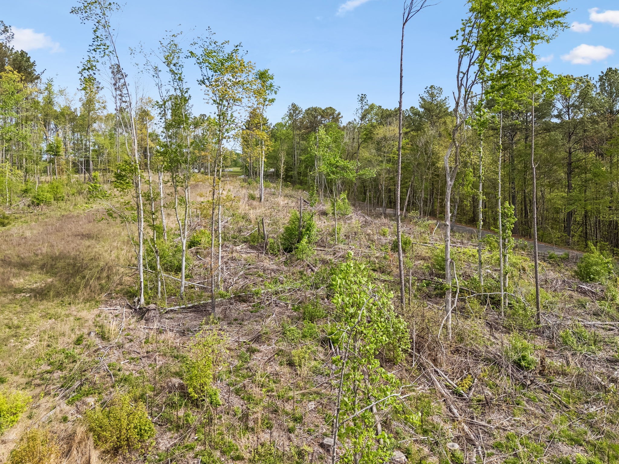 1 Pleasant Ridge Road Goodspring, TN 38460 - Photo 43 of 48