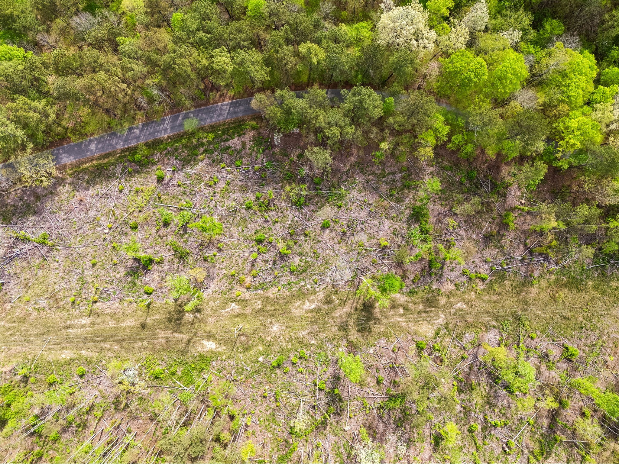 1 Pleasant Ridge Road Goodspring, TN 38460 - Photo 44 of 48