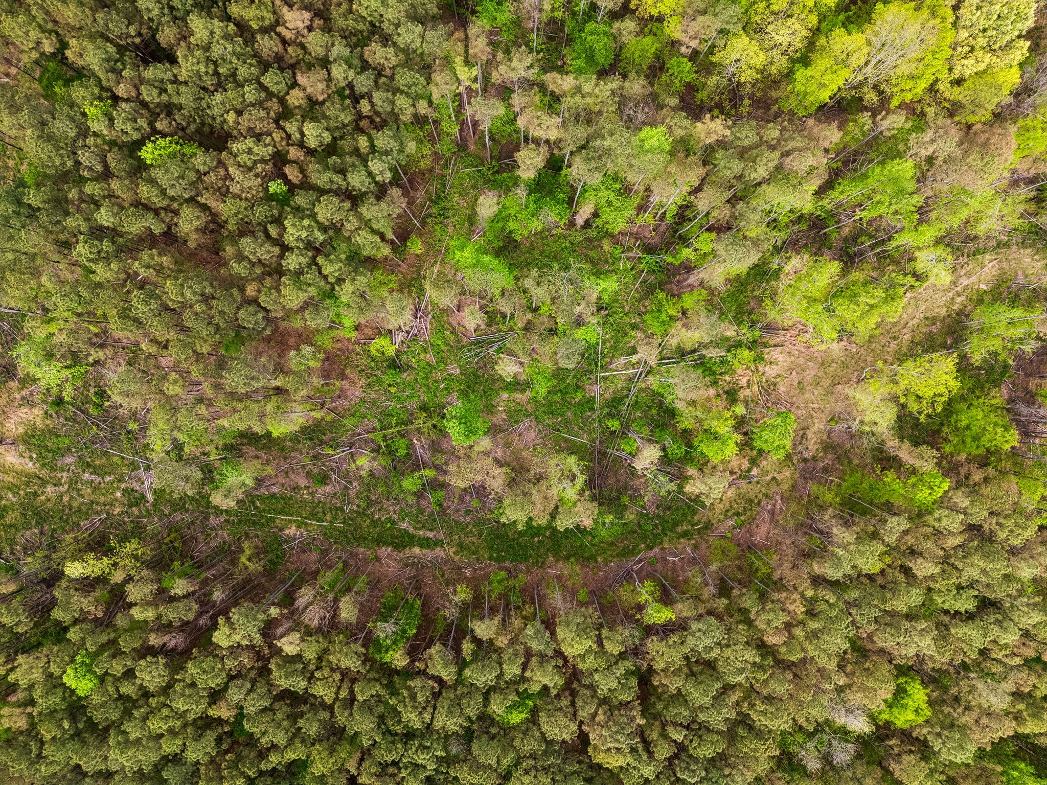 1 Pleasant Ridge Road Goodspring, TN 38460 - Photo 45 of 48