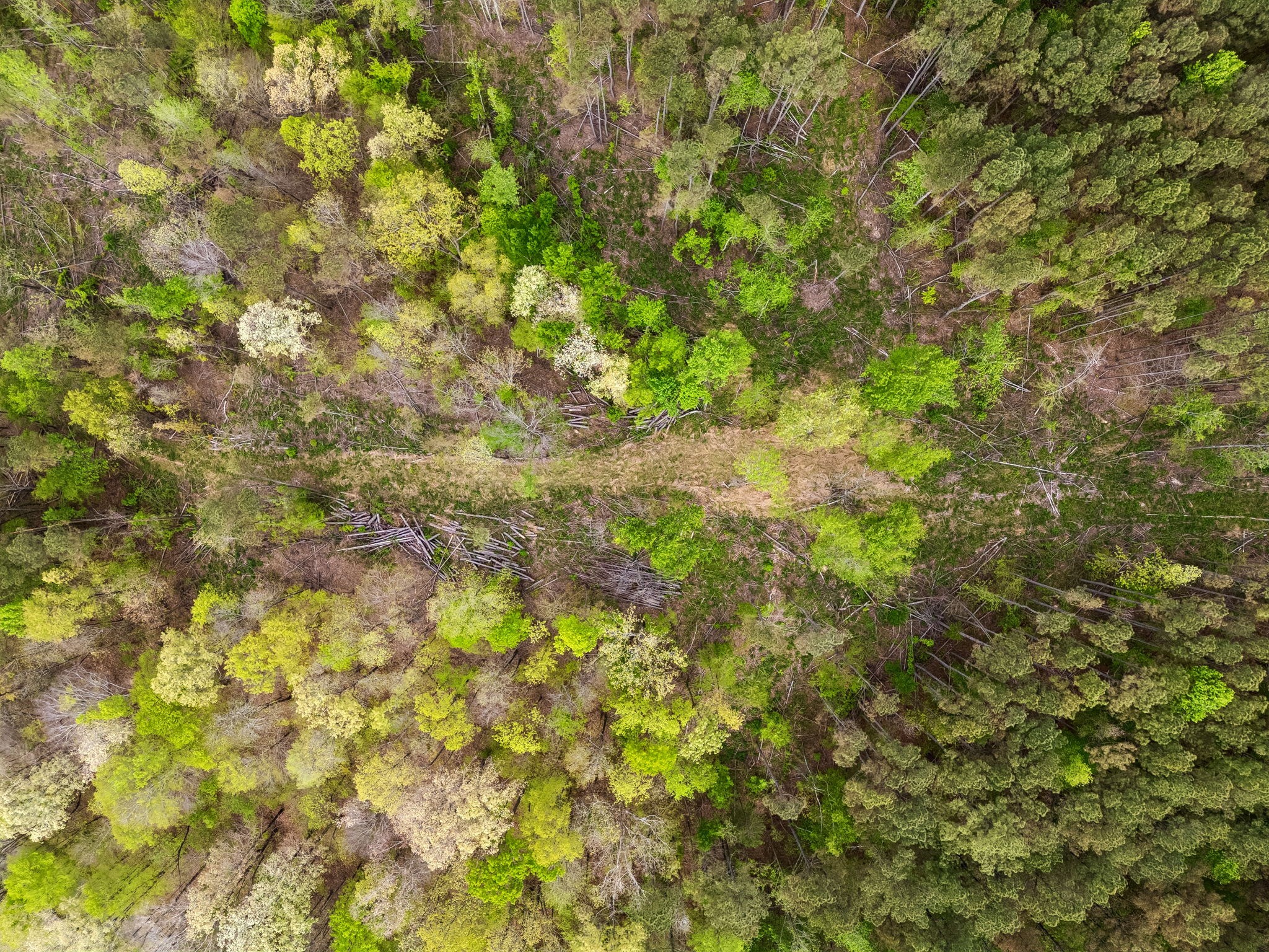 1 Pleasant Ridge Road Goodspring, TN 38460 - Photo 46 of 48