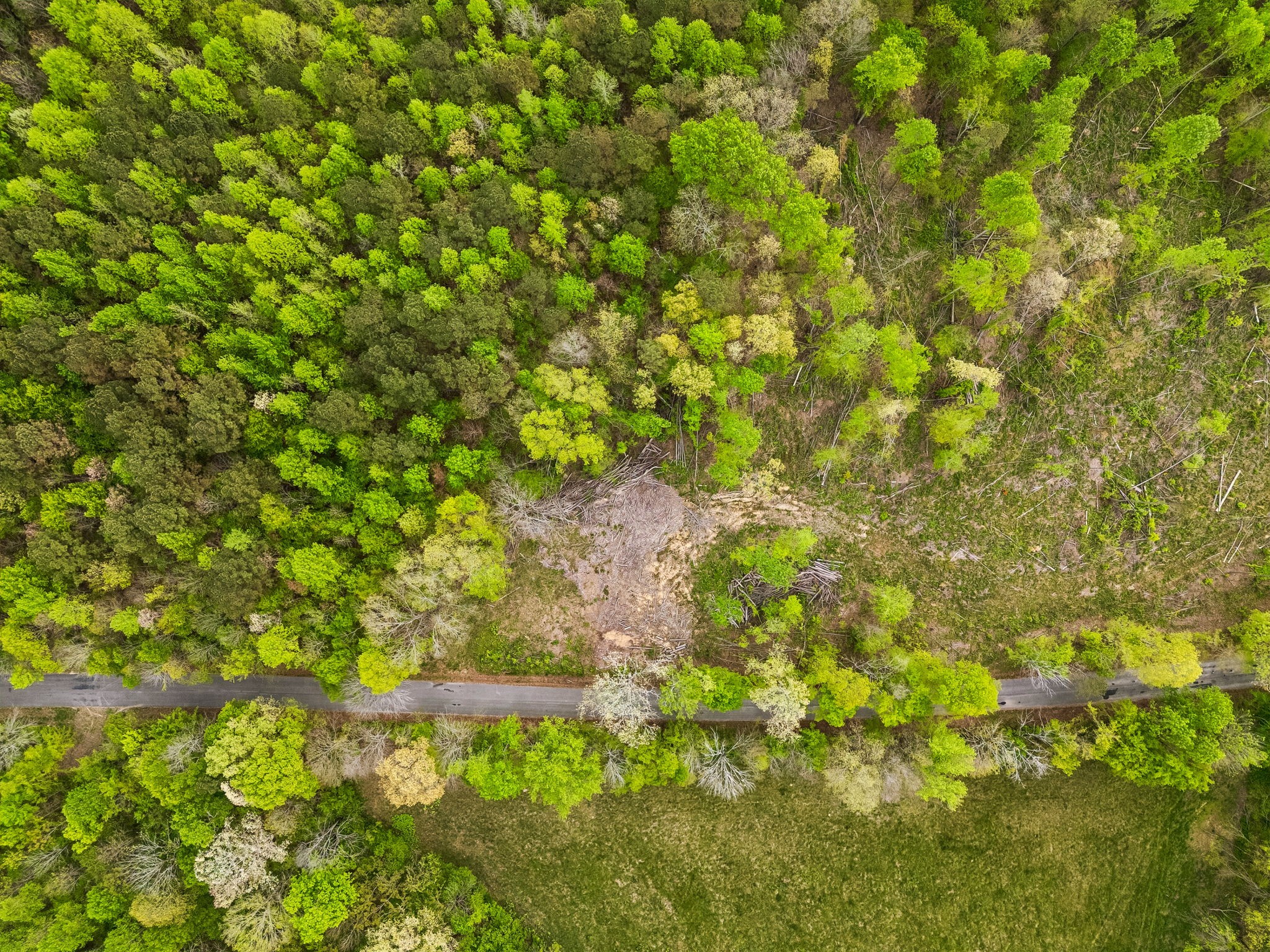 1 Pleasant Ridge Road Goodspring, TN 38460 - Photo 47 of 48