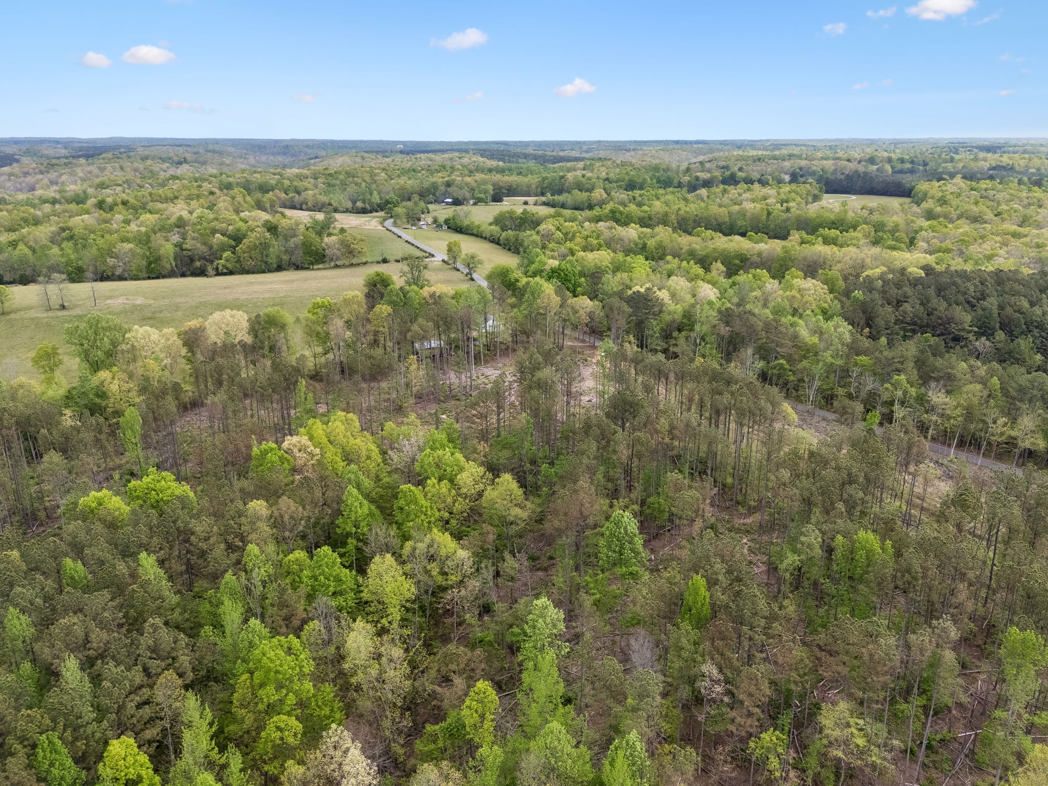 1 Pleasant Ridge Road Goodspring, TN 38460 - Photo 48 of 48