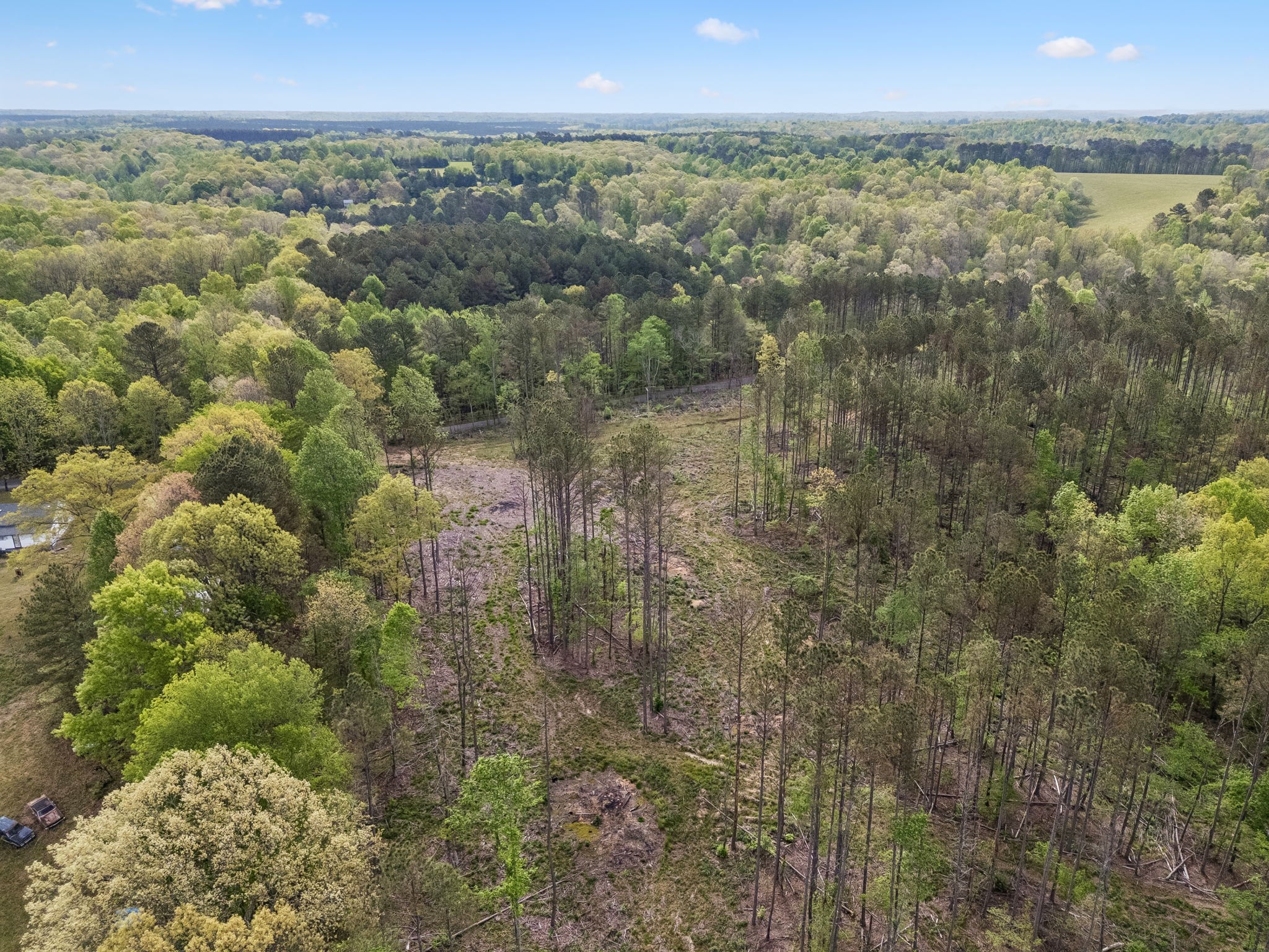 1 Pleasant Ridge Road Goodspring, TN 38460 - Photo 5 of 48