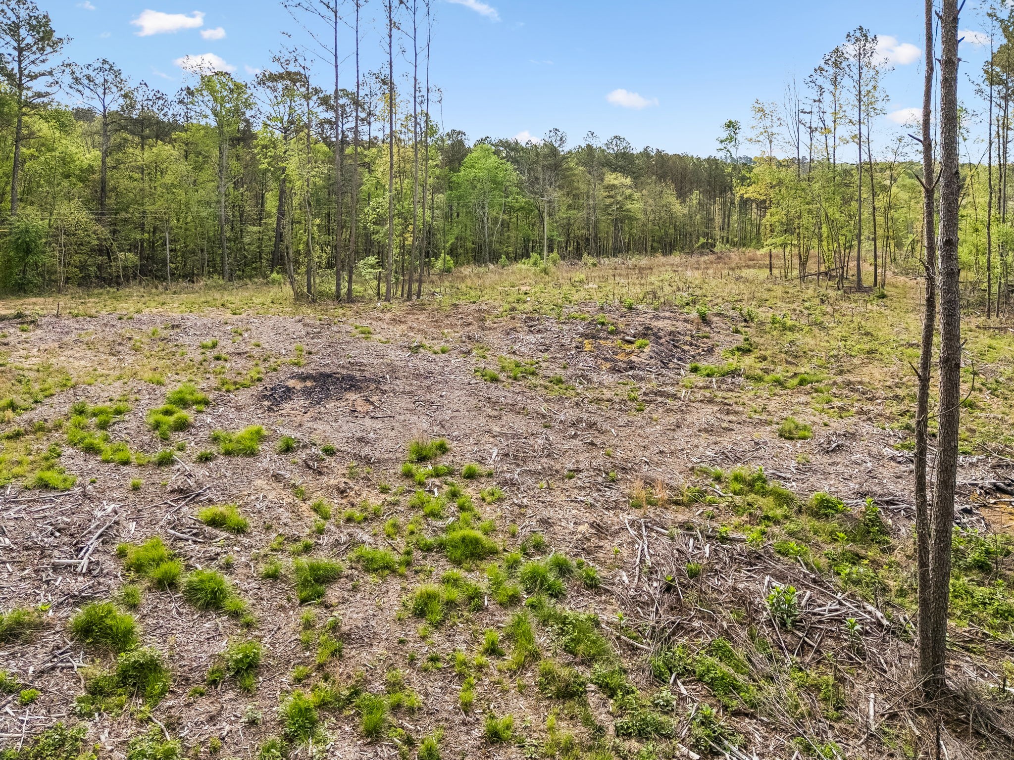 1 Pleasant Ridge Road Goodspring, TN 38460 - Photo 6 of 48
