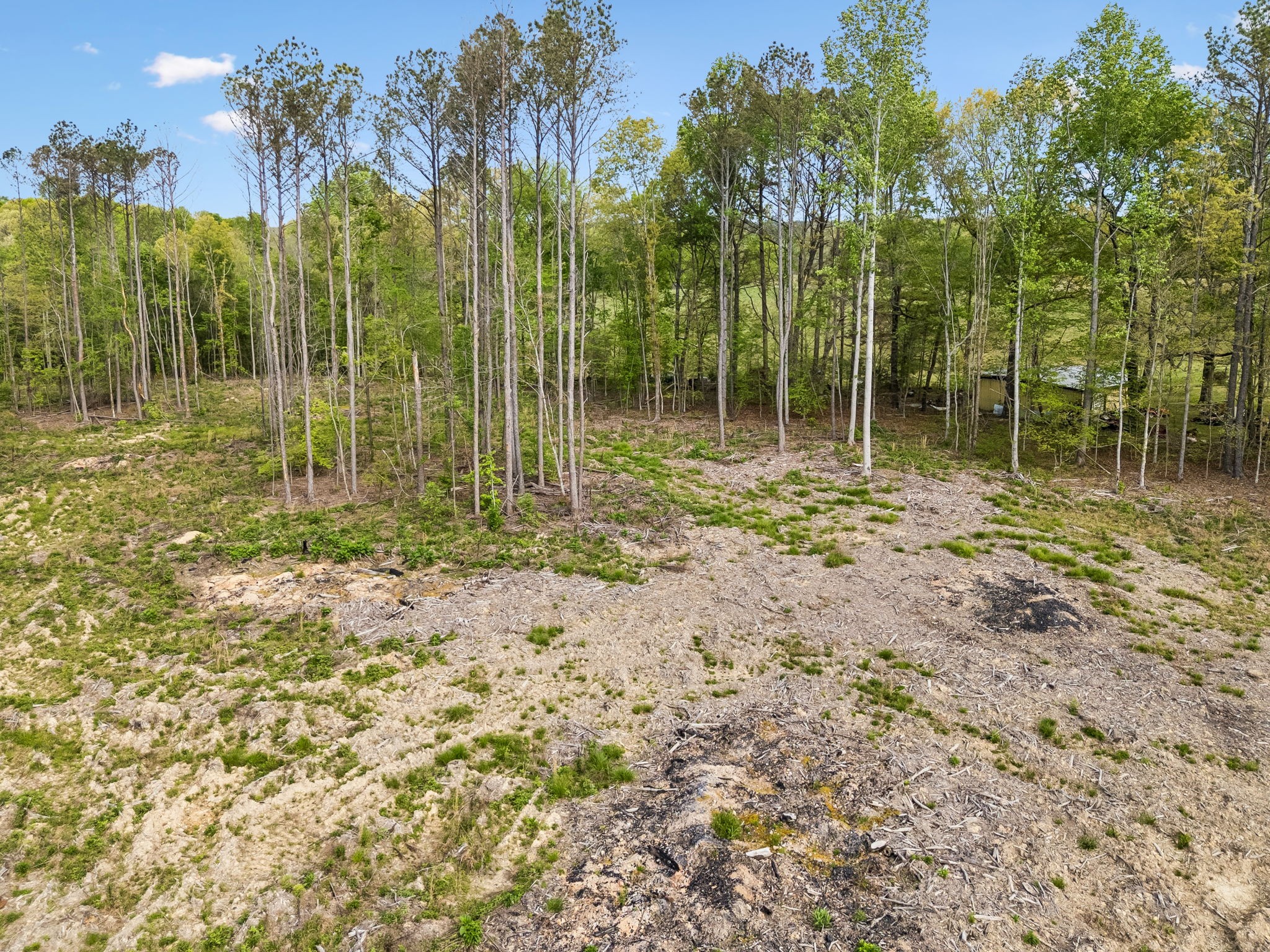 1 Pleasant Ridge Road Goodspring, TN 38460 - Photo 7 of 48