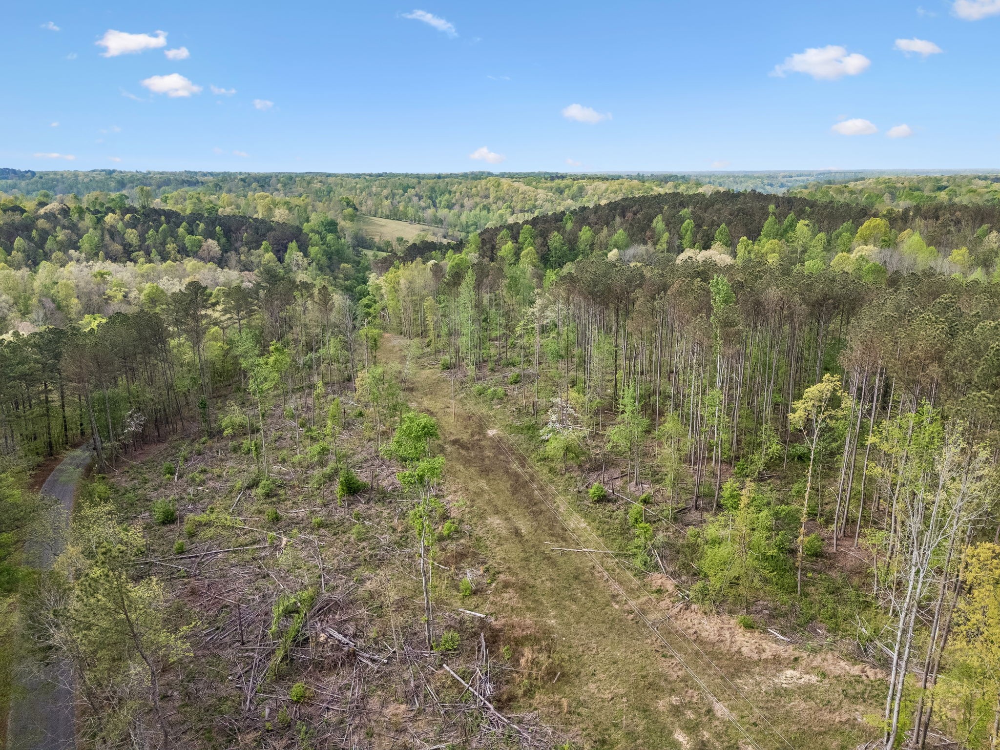 1 Pleasant Ridge Road Goodspring, TN 38460 - Photo 8 of 48