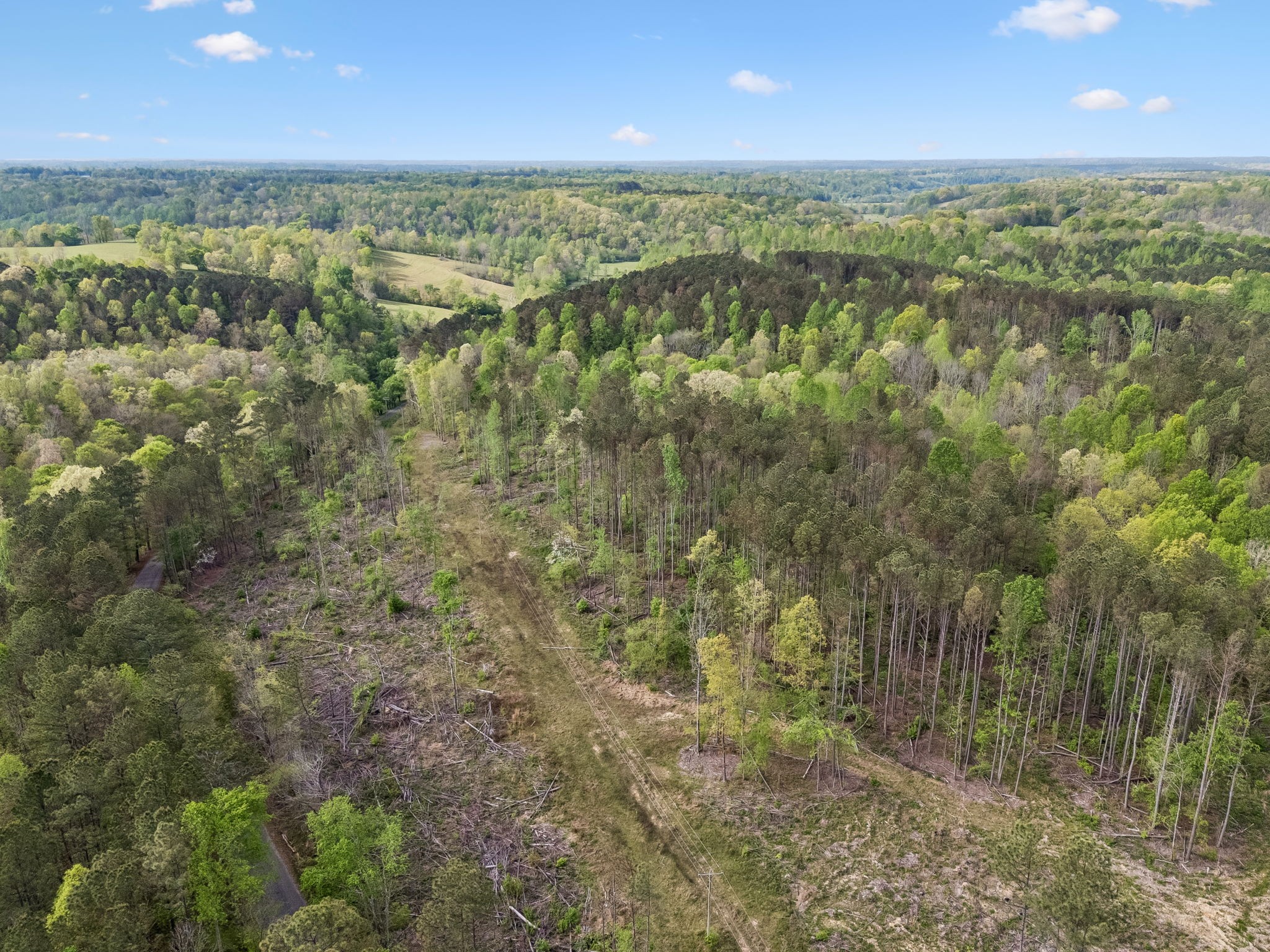 1 Pleasant Ridge Road Goodspring, TN 38460 - Photo 9 of 48