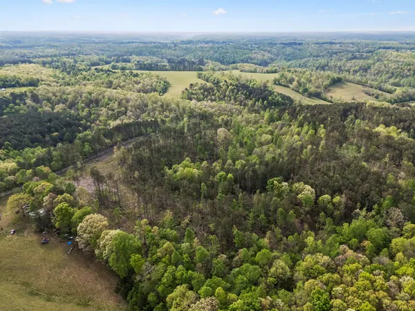 $481,120 | 1 Pleasant Ridge Road, Goodspring, TN 38460
