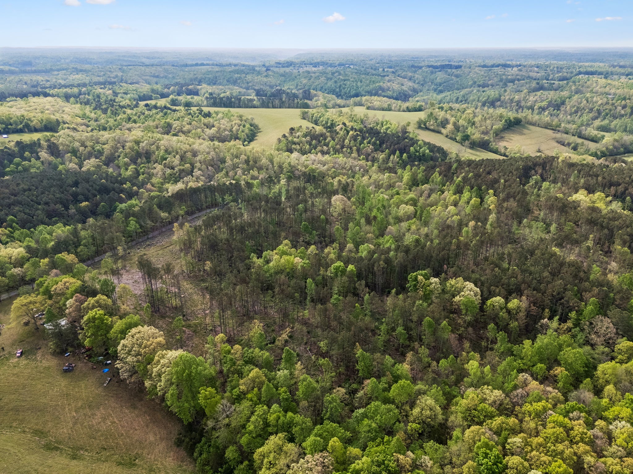 1 Pleasant Ridge Road Goodspring, TN 38460 - Photo 10 of 48