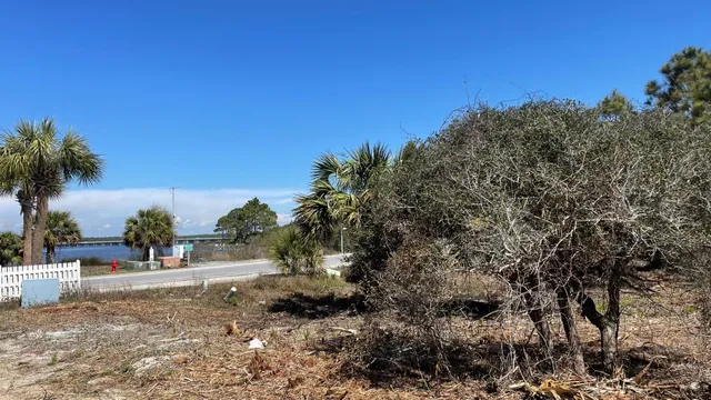 a view of a yard with a tree