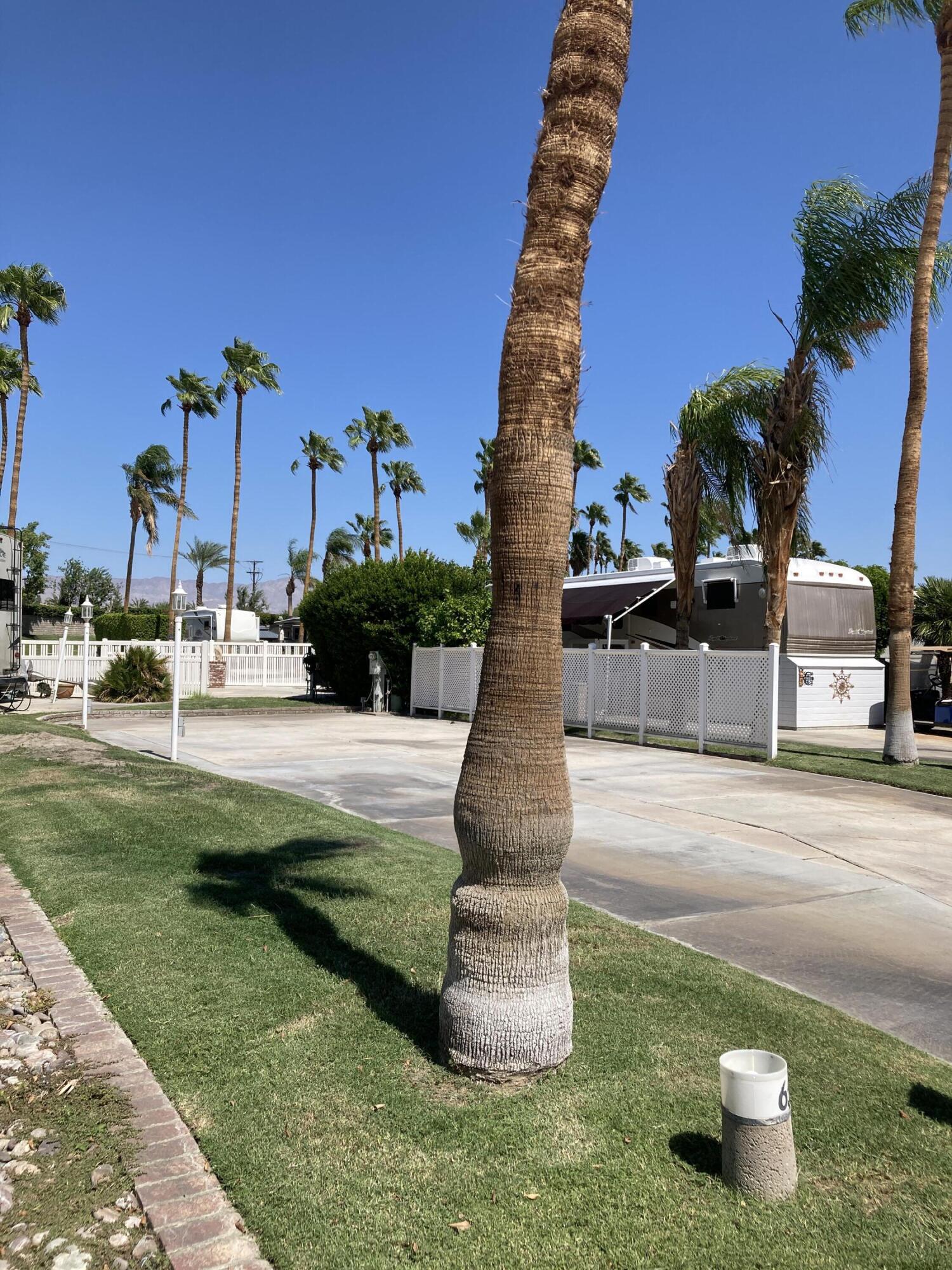 69411 Ramon Road, Unit 65 Cathedral City, CA 92234 - Photo 3 of 6 a park view with a fountain