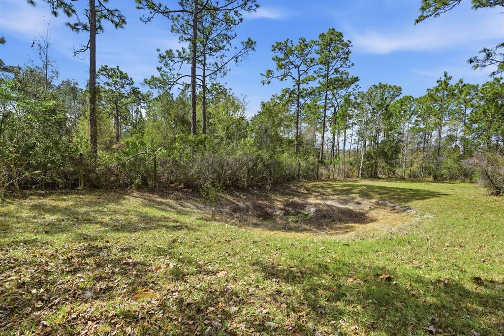 158 Cone Road Ormond Beach, FL 32174 - Photo 30 of 40 a view of outdoor space with trees all around