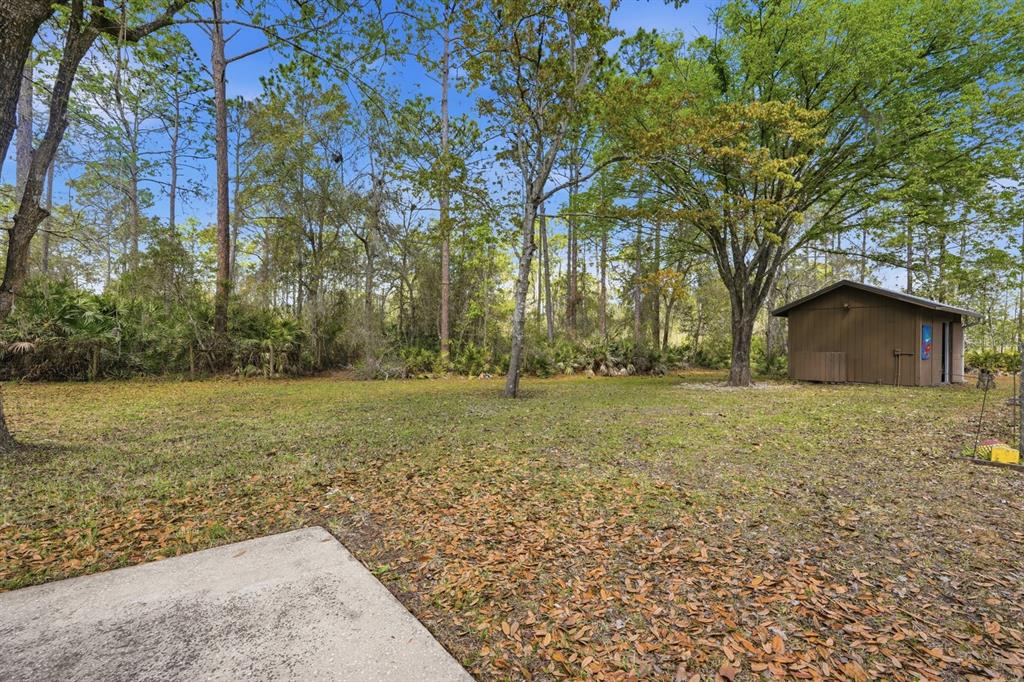 158 Cone Road Ormond Beach, FL 32174 - Photo 31 of 40 a view of a backyard