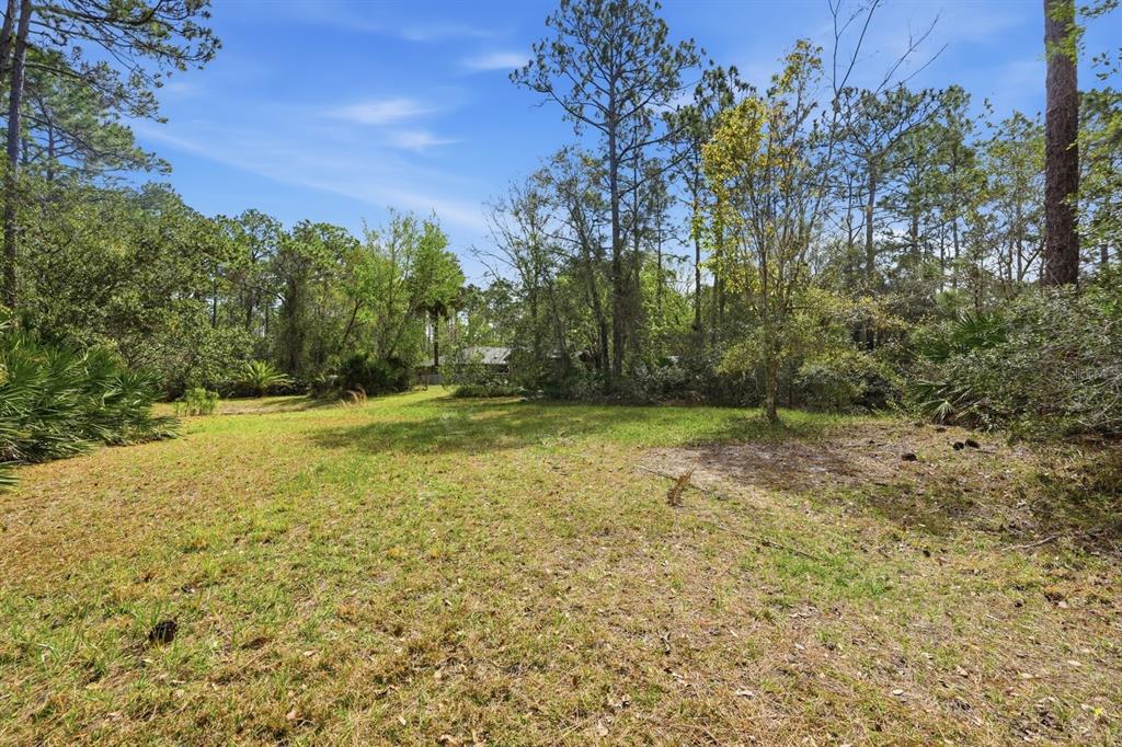 158 Cone Road Ormond Beach, FL 32174 - Photo 33 of 40 a view of outdoor space and yard