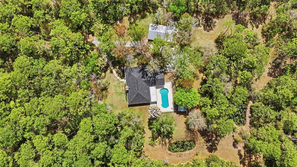 158 Cone Road Ormond Beach, FL 32174 - Photo 35 of 40 a plant view in yard