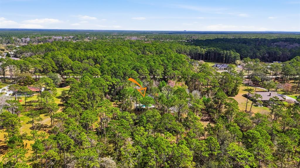 158 Cone Road Ormond Beach, FL 32174 - Photo 37 of 40 a view of a lake with a forest