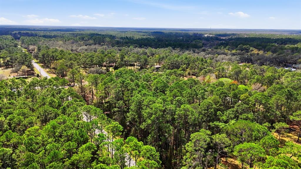 158 Cone Road Ormond Beach, FL 32174 - Photo 38 of 40 an aerial view of a houses with a yard