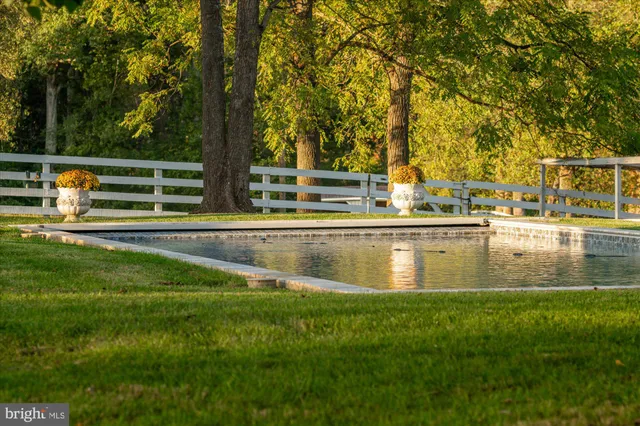 a view of a swimming pool with a terrace