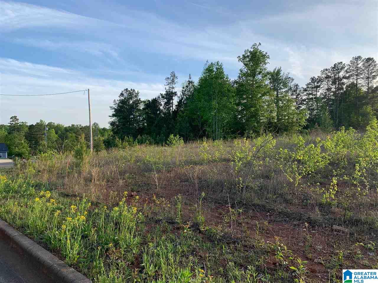 89 Angel Circle, Unit 49 Weaver, AL 36277 - Photo 1 of 6