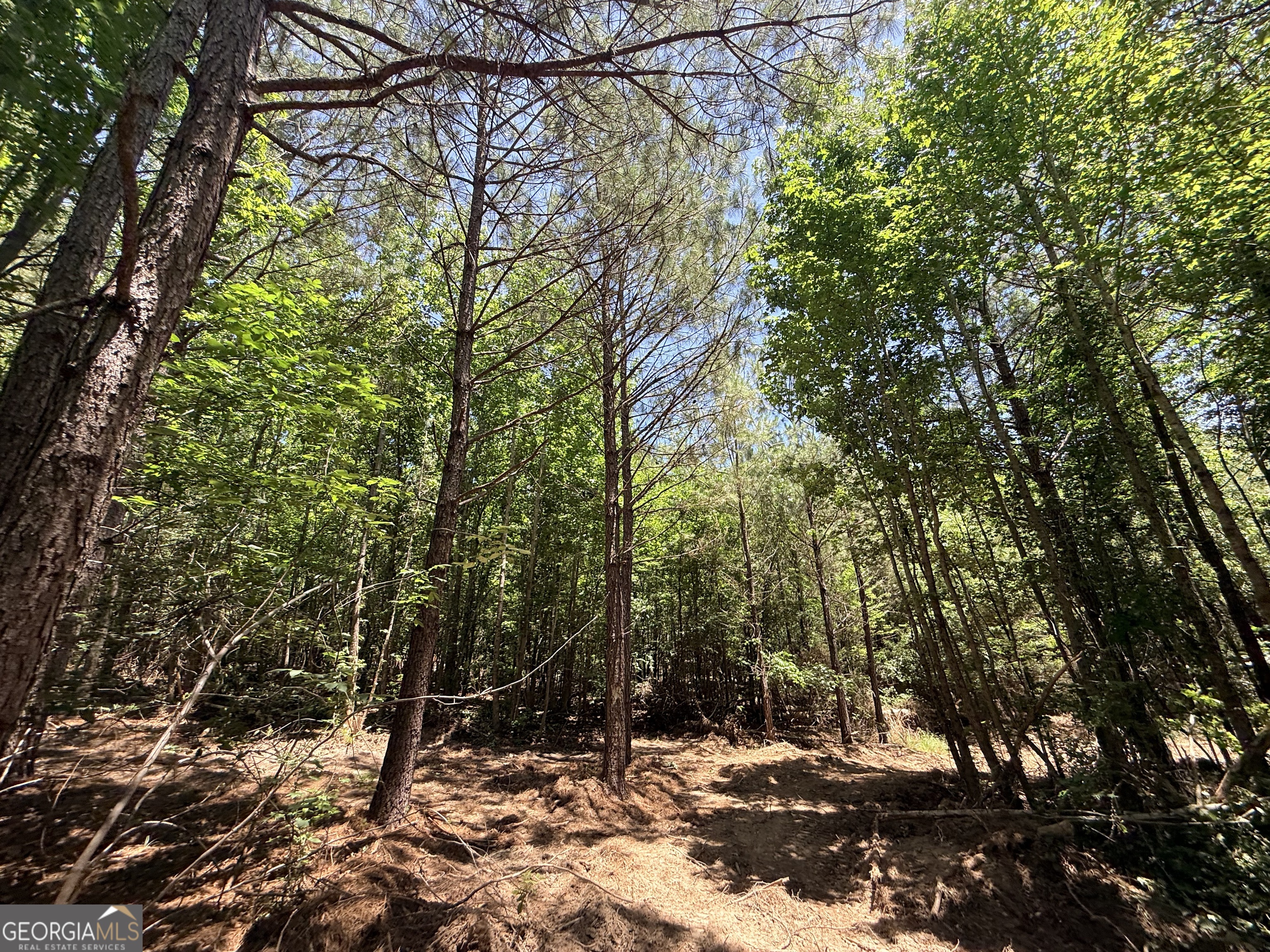 2807 Cedar Creek Road Elberton, GA 30635 - Photo 55 of 109
