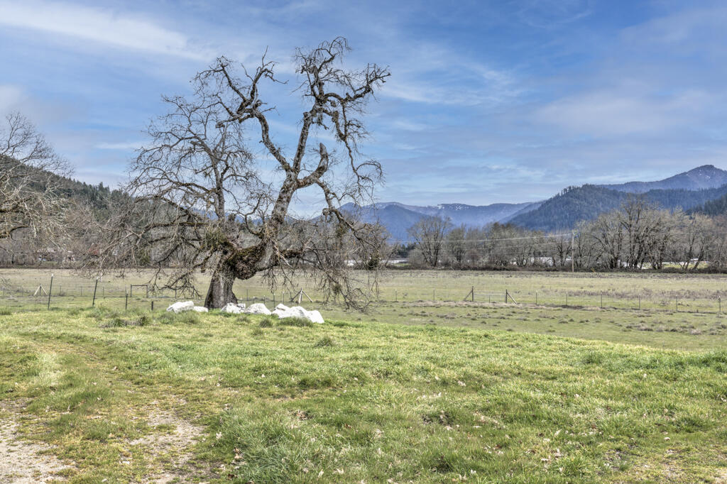 4001 Deer Creek Road Selma, OR 97538 - Photo 59 of 69 4001DeerCrRd-60