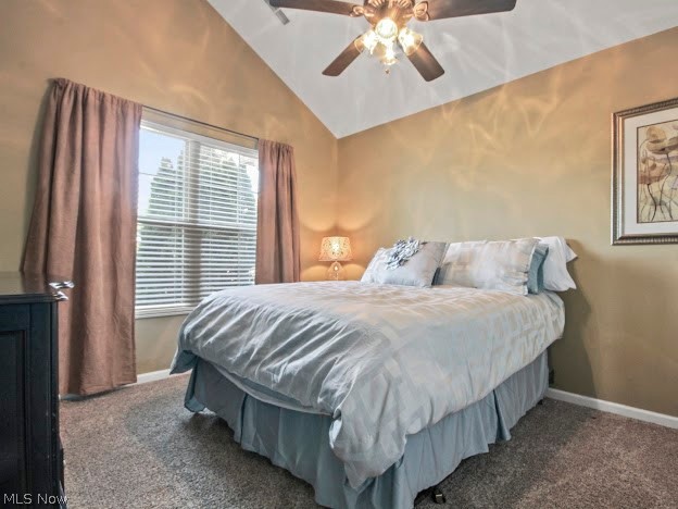9151 Springfield Road, Unit 1201 Youngstown, OH 44514 - Photo 15 of 22 Carpeted bedroom featuring ceiling fan and vaulted ceiling