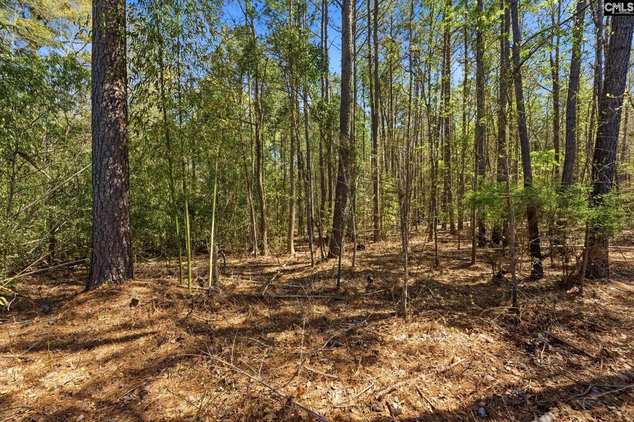 0 Shore Road Gilbert, SC 29054 - Photo 4 of 4