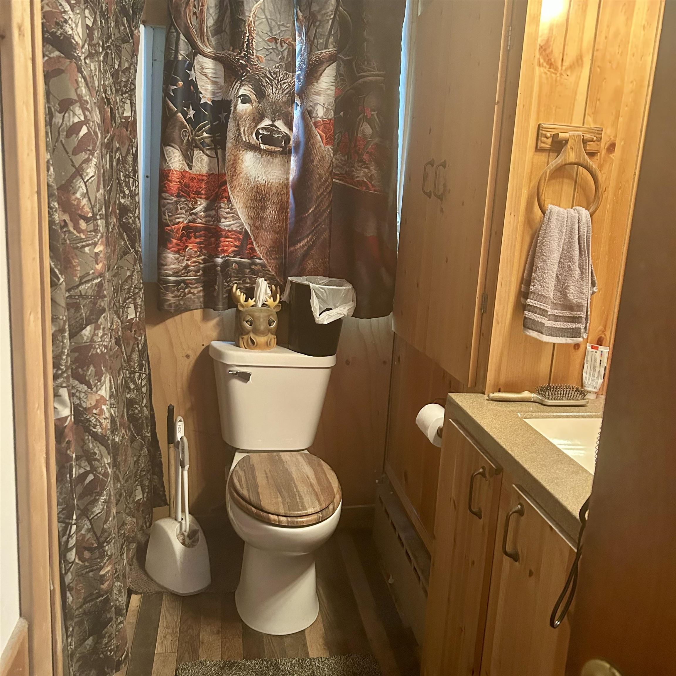 6215 South Graham Road St. Charles, MI 48655 - Photo 7 of 24 50173821-c52f0f1f-d311-4cee-9adb-6d348c7e3432.JPG