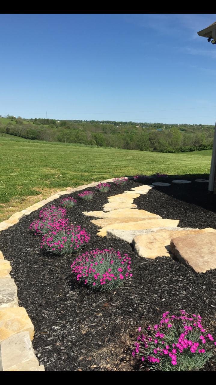 410 High Bridge Road Lancaster, KY 40444 - Photo 7 of 29 flowers