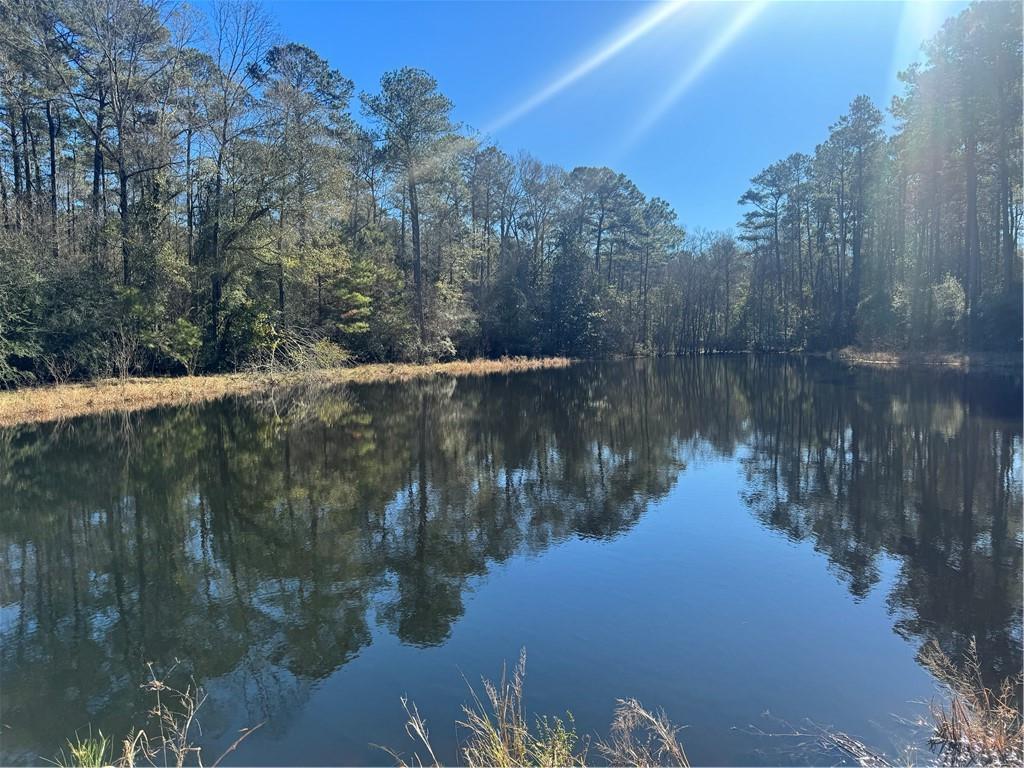 0 East Bell Road Amite, LA 70422 - Photo 3 of 9