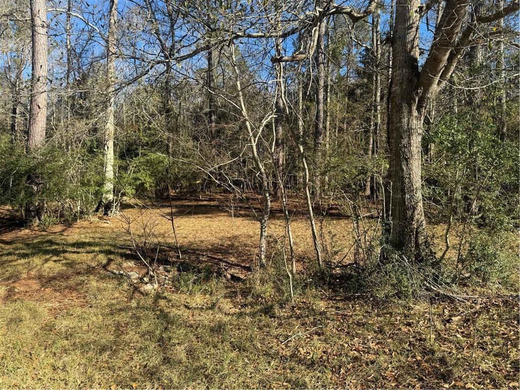 0 East Bell Road Amite, LA 70422 - Photo 4 of 9