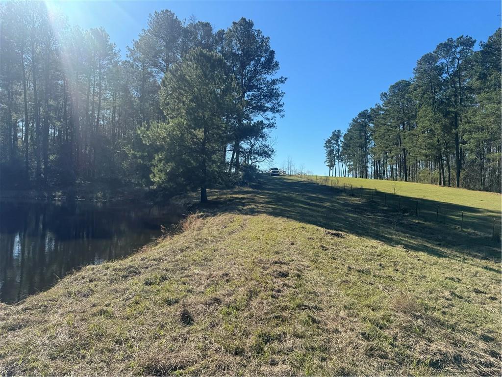 0 East Bell Road Amite, LA 70422 - Photo 5 of 9