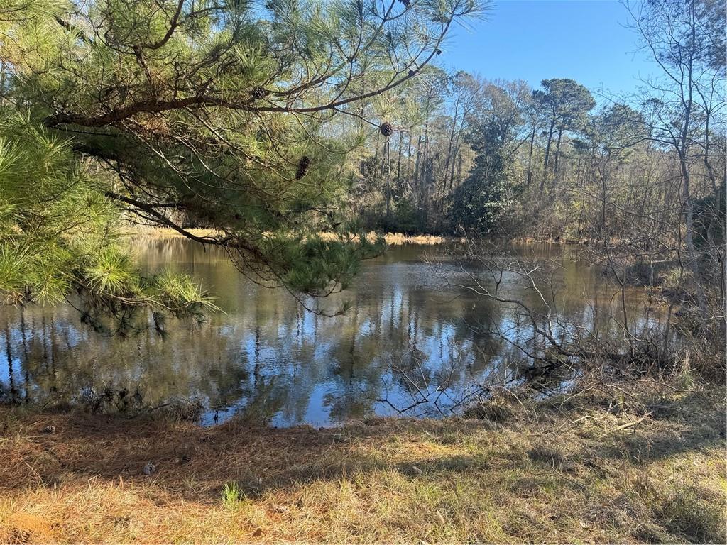 0 East Bell Road Amite, LA 70422 - Photo 6 of 9