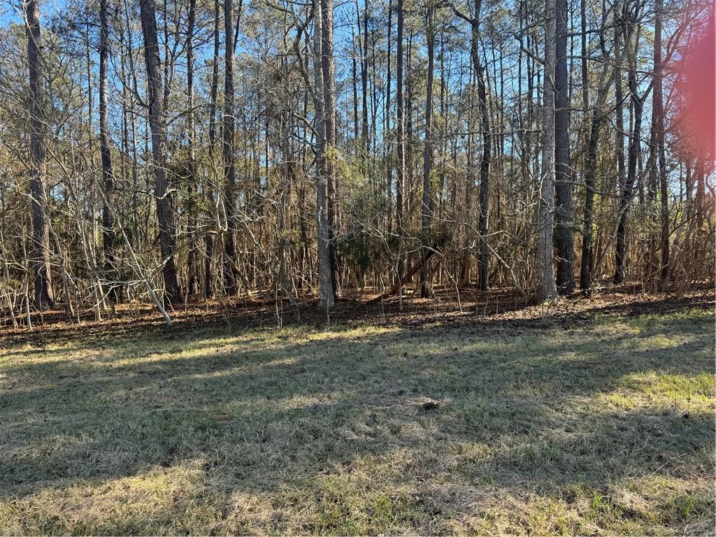 0 East Bell Road Amite, LA 70422 - Photo 7 of 9