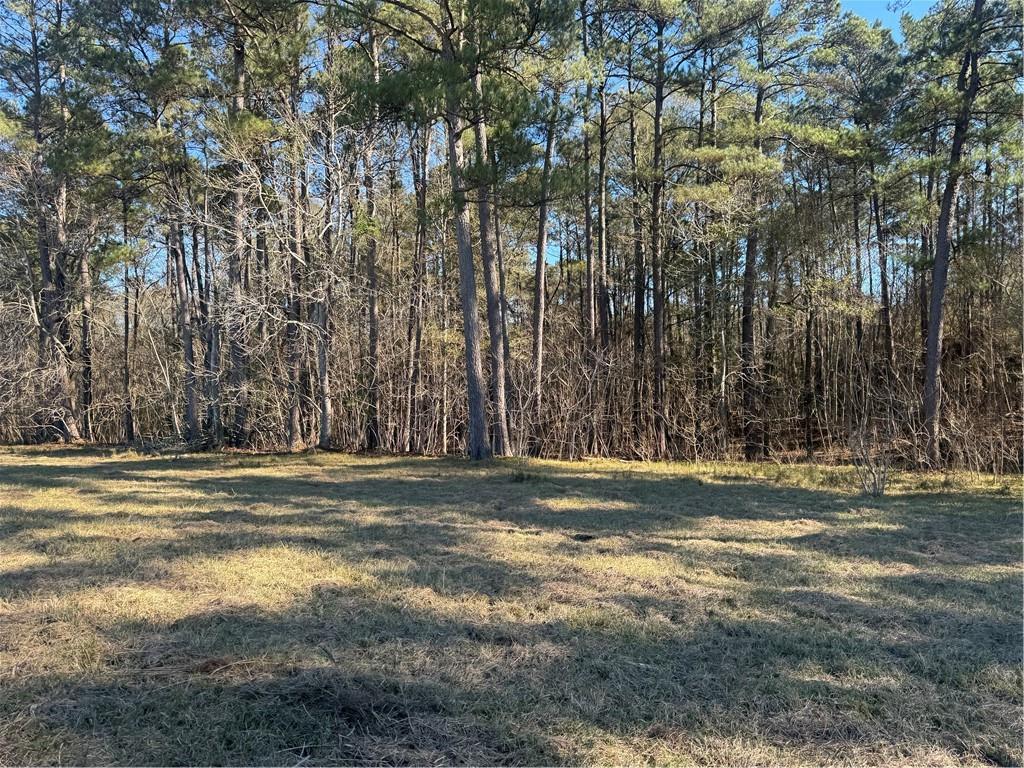 0 East Bell Road Amite, LA 70422 - Photo 8 of 9