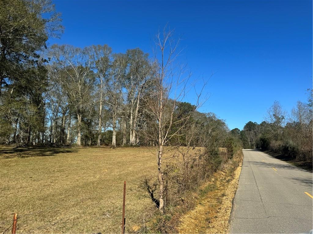 0 East Bell Road Amite, LA 70422 - Photo 9 of 9