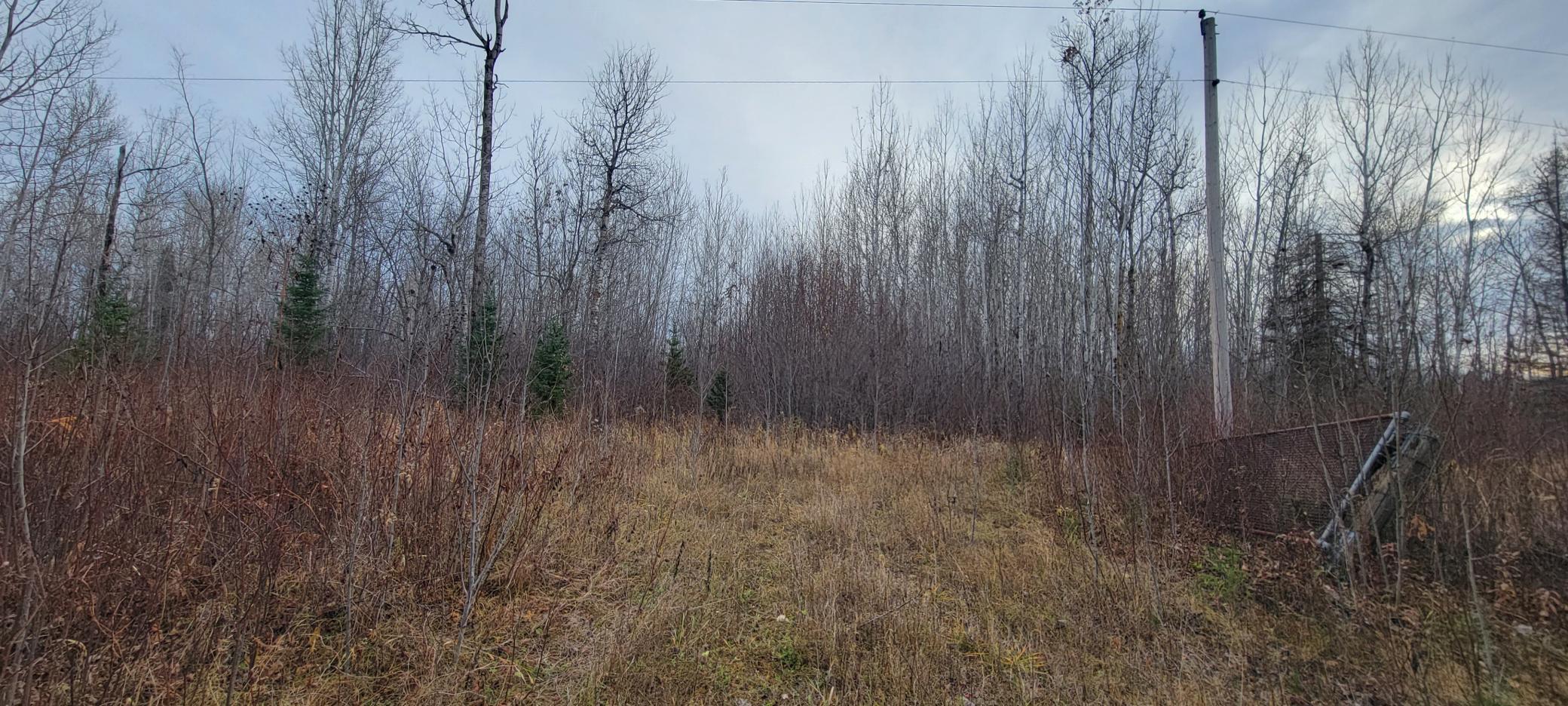 1 State Highway 1 Effie, MN 56639 - Photo 1 of 3