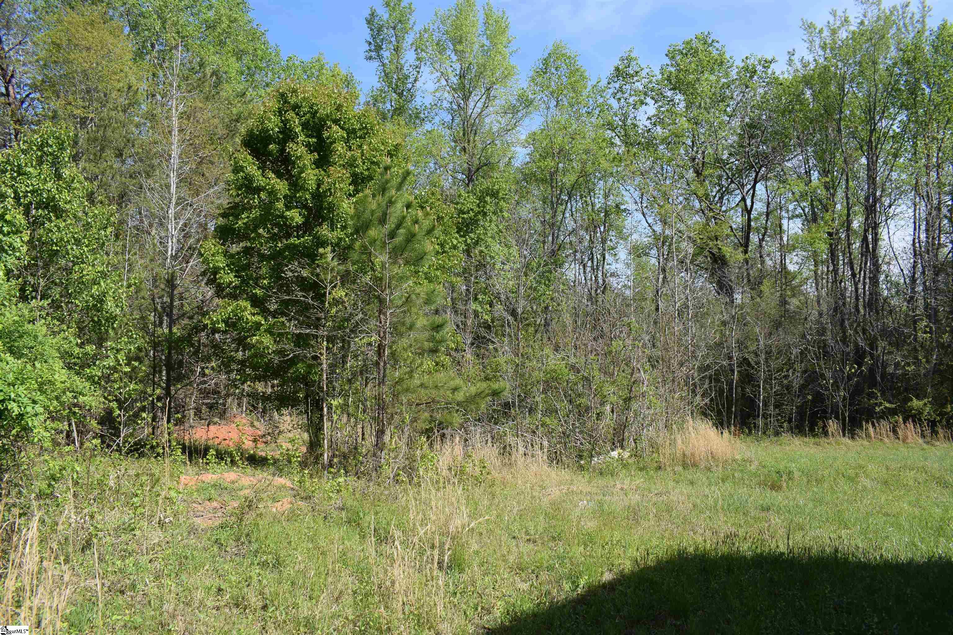 0 Hollis Road Ellenboro, NC 28040 - Photo 11 of 29